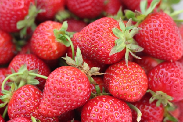 DG says Aussie strawberries undergoing thorough checks