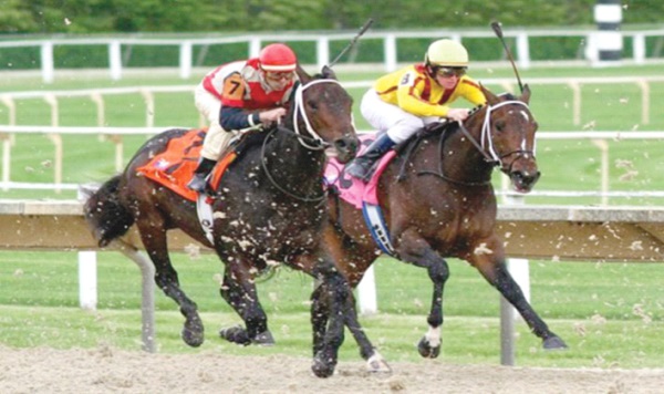 Photos At Royal Sabah Turf Club Tuaran 190 Visitors