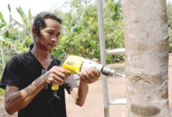 Ignorance leads to losses in agarwood industry