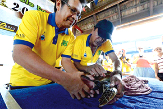 74 turtles are tagged at Mabul event