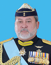 Fix the problems fast, Johor Sultan tells govt