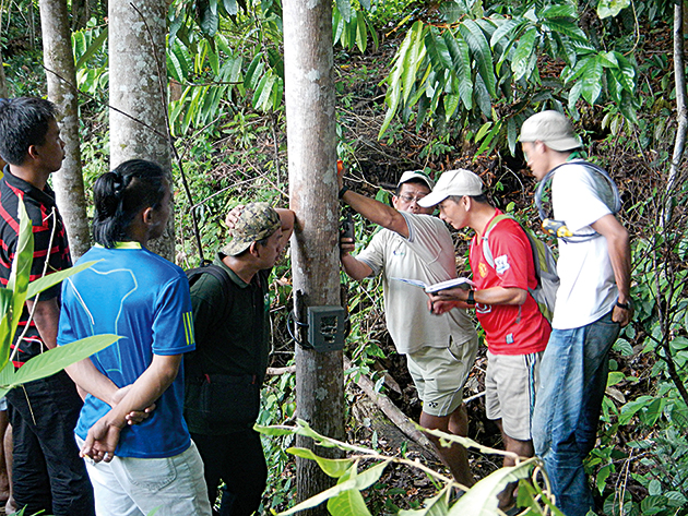 WWF training for Yayasan Sabah rangers