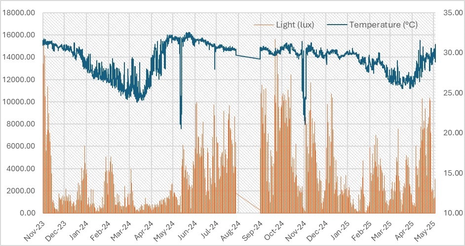 Daily variation in Underwater Temperature and Light Intensity recorded at MERC, Gaya Island (Nov 2023 to May 2025).