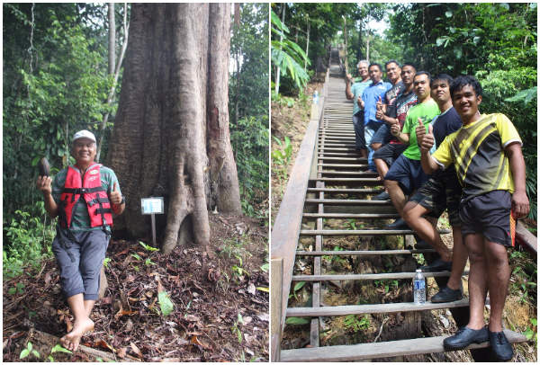 安塞姆在一棵拥有 500 年历史的巨大贝利安树干脚下（左图）。
