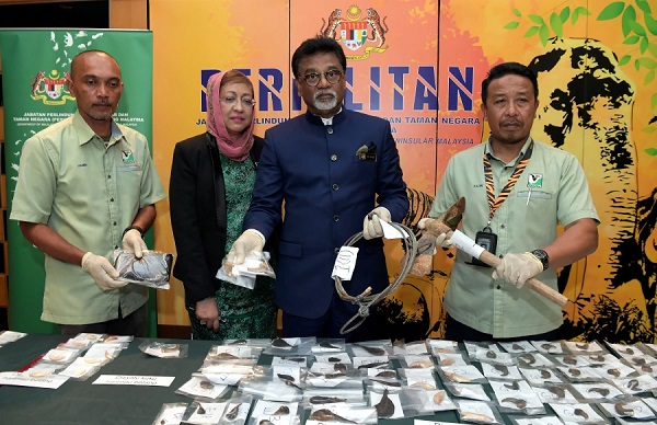 Two Viet poachers  arrested with tiger  and bear parts