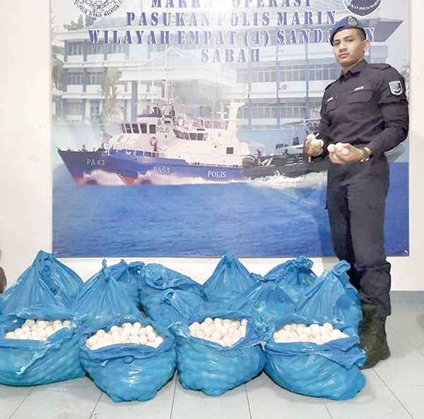 Bid to smuggle in  7,000 turtle eggs