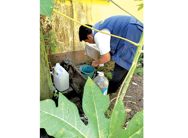 Aedes breeding grounds:  11 in Tawau compounded 