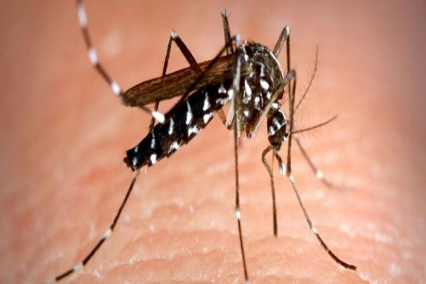 Dengue cases  soar to 160,000  with 661 deaths