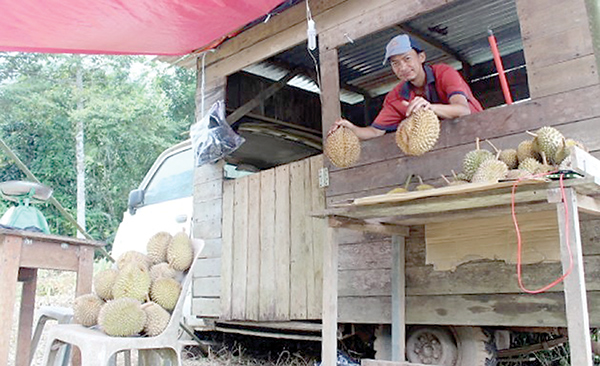 Unique durian truck draws customers