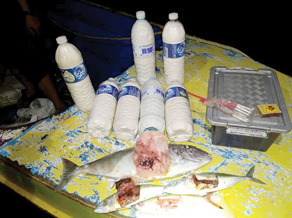 MMEA seizes pump boat  with 30kg of bombed fish