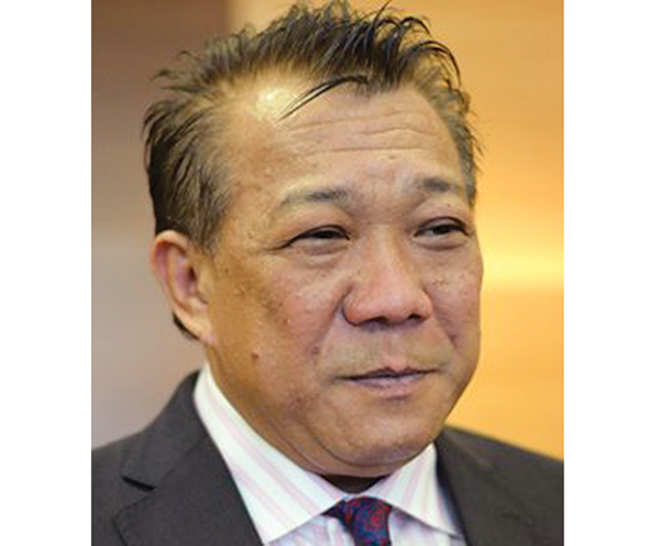 Bung is  saddened  by deaths  of pygmy  elephants 