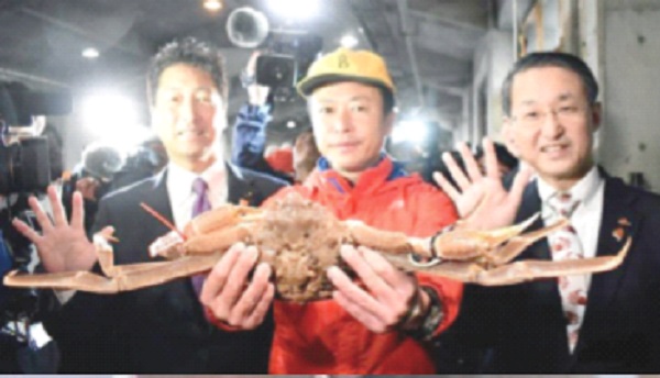  Japan crab fetches record $46,000 at auction