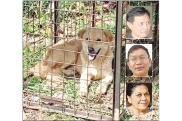 Ranau 'terror' dog caught, another still at large