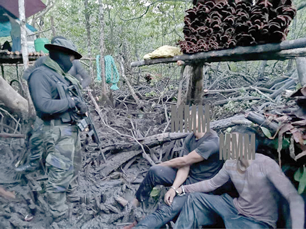 Dua ditahan curi kulit kayu  bakau di hutan simpan