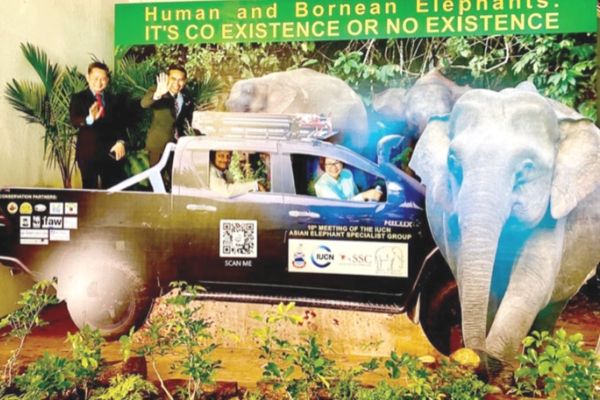 Komitmen usaha selamatkan gajah Borneo 