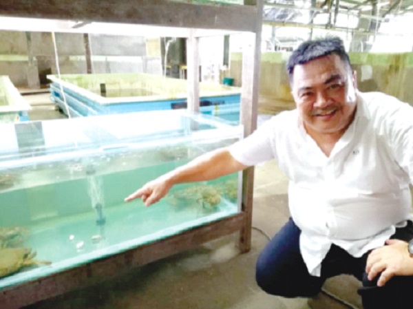 Foreign experts helping crab hatchery