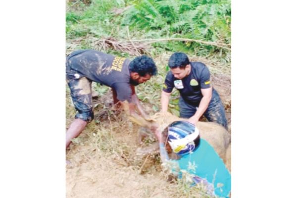 Liew praises efforts to save Kinabatangan elephant calf