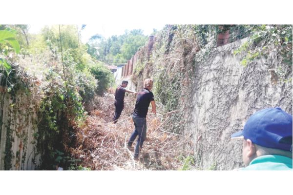 Garden waste cleared, culprits sought