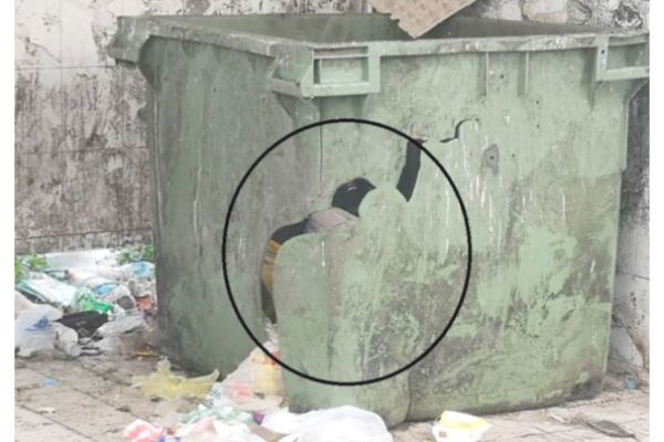 Putatan Council to replace damaged communal bins