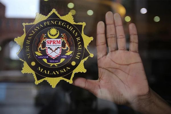 Another eight reports: MACC
