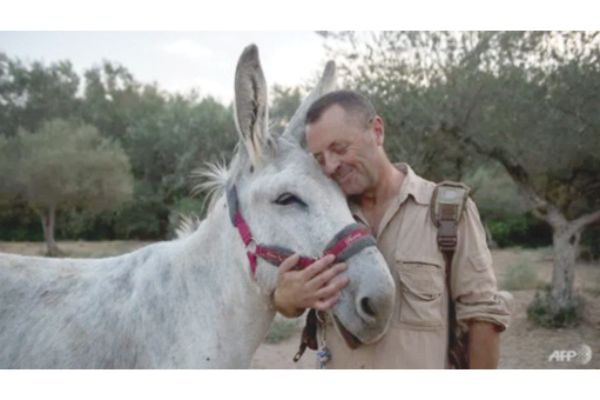 What’s up doc? Donkey therapy eases Spain medics’ stress