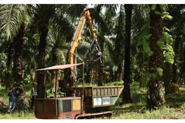 We’ll pay for quarantine,  says palm oil grouping