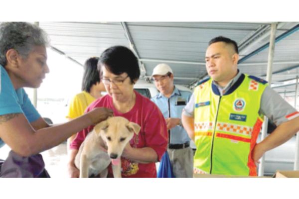 Vaccinate dogs in S’wak to curb rabies: Ex-deputy minister