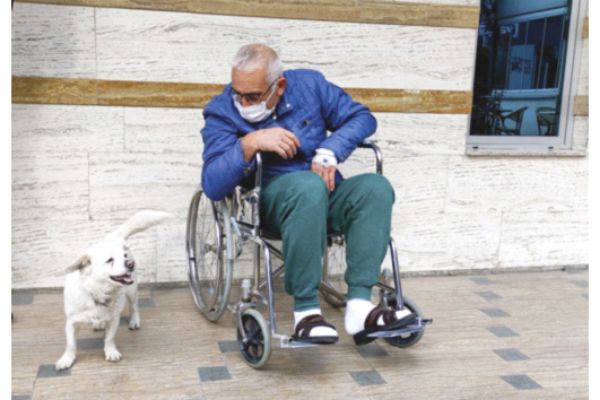 Dog spent days outside Turkish hospital waiting for owner