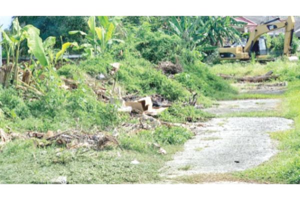 Undeveloped Penampang land becomes illegal dumpsite