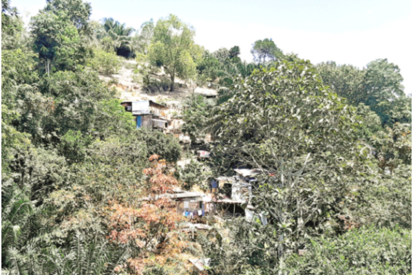 Call to dismantle Karamunsing squatter colony
