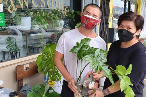 'Rescued' plants returned to their owners