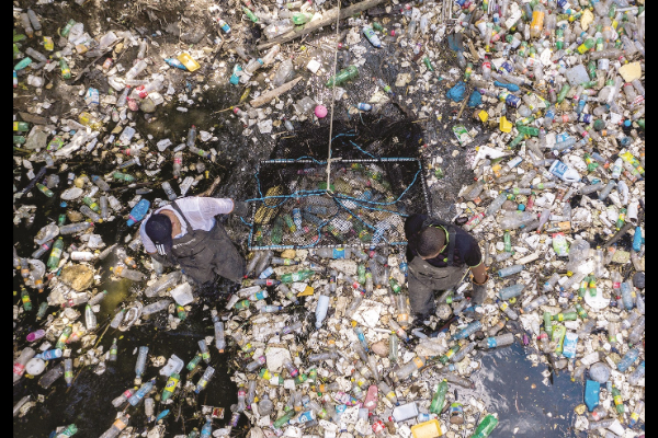 Plastic, chemical pollution beyond planet’s safe limit