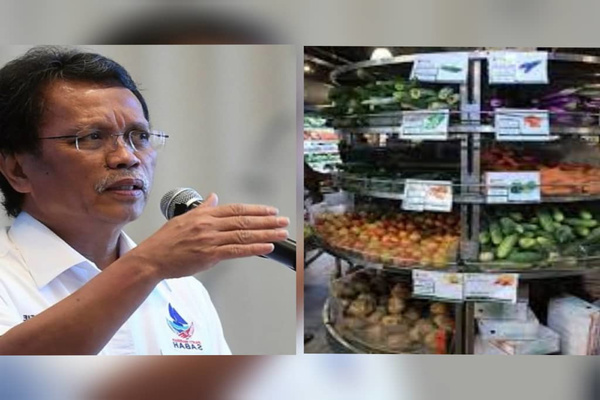 Subsidies move unwise and wasteful: Shafie