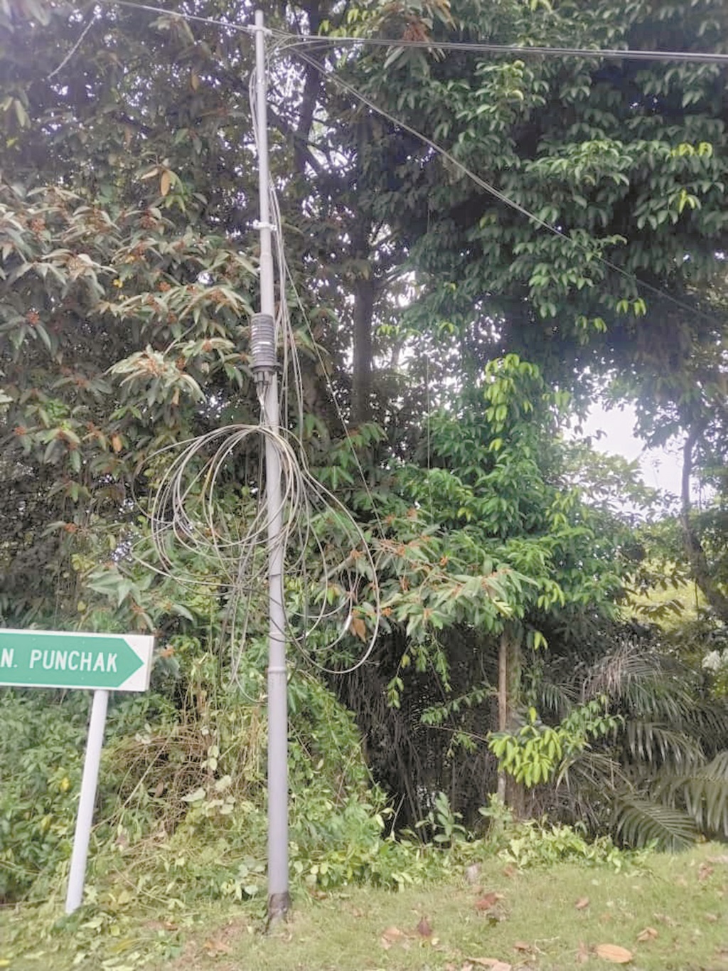 The fallen cable was bunched together and tied to the new pole on Signal Hill. 