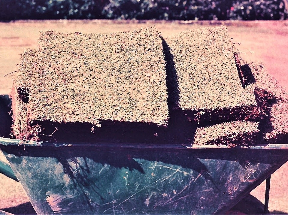 A wheelbarrow filled with cut sods in the form of mats.