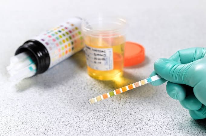 Test lorry, bus drivers for drugs