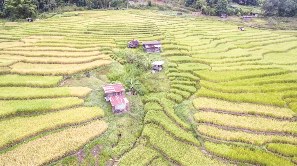 Water-Energy-Food nexus: Sabah perspective