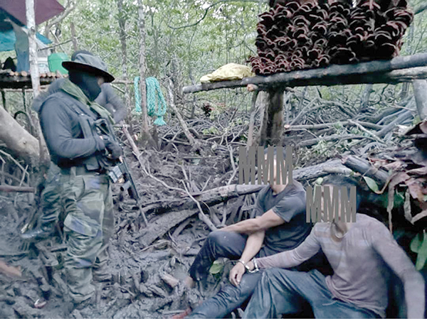 Stripping mangrove barks: Filipino duo caught 