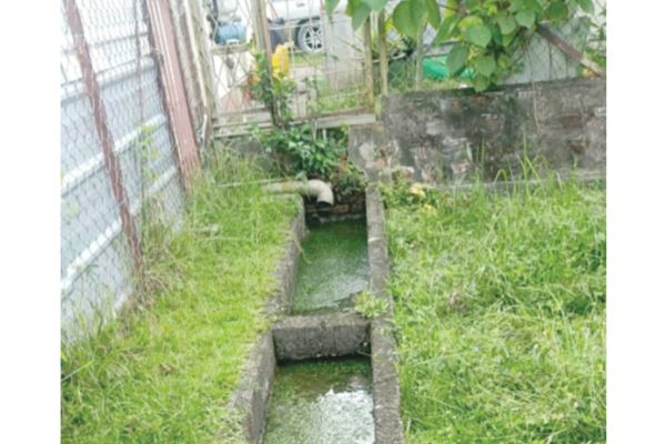 Two Kepayan homeowners encroach on drain reserve