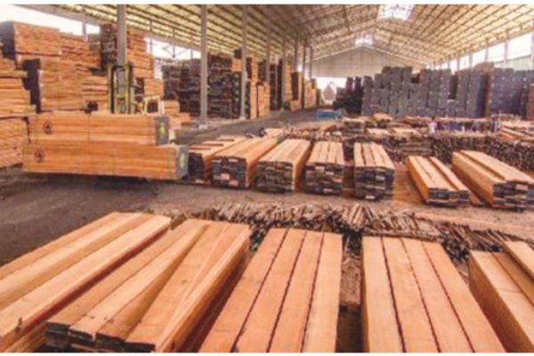 Raw material, labour key challenges, says timber association