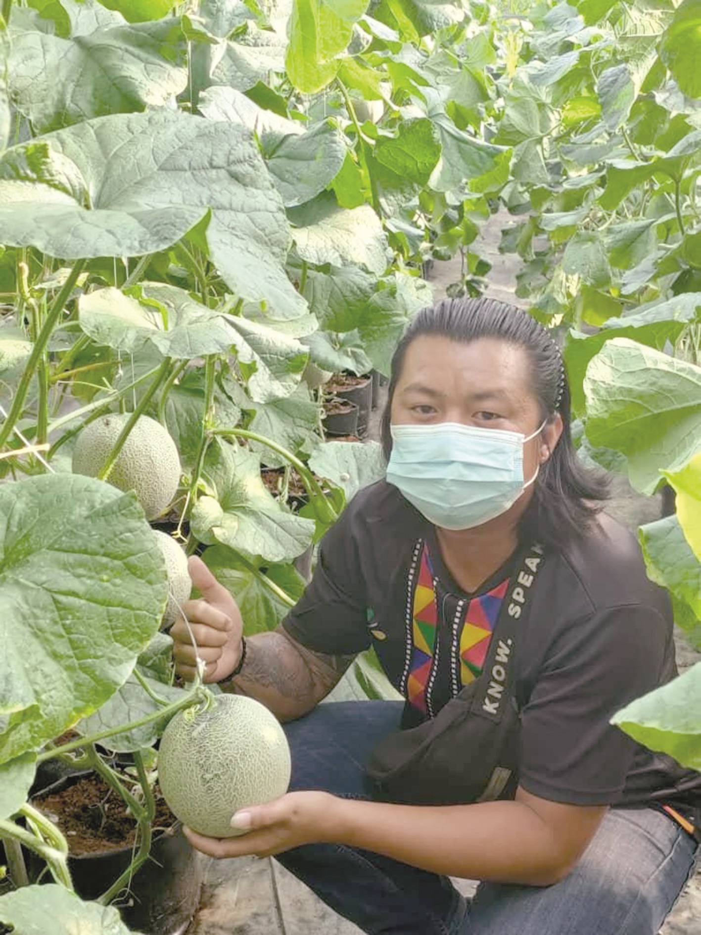 Self-taught Rowelon reaps success from rockmelons 