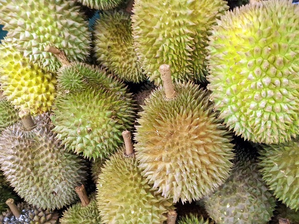 Firefighters scour Australian neighborhood looking for gas leak. They find durian instead.