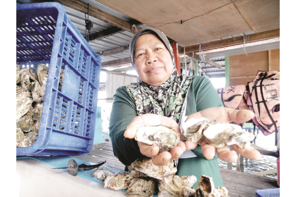 Oyster farmer shares pearls of wisdom for great success