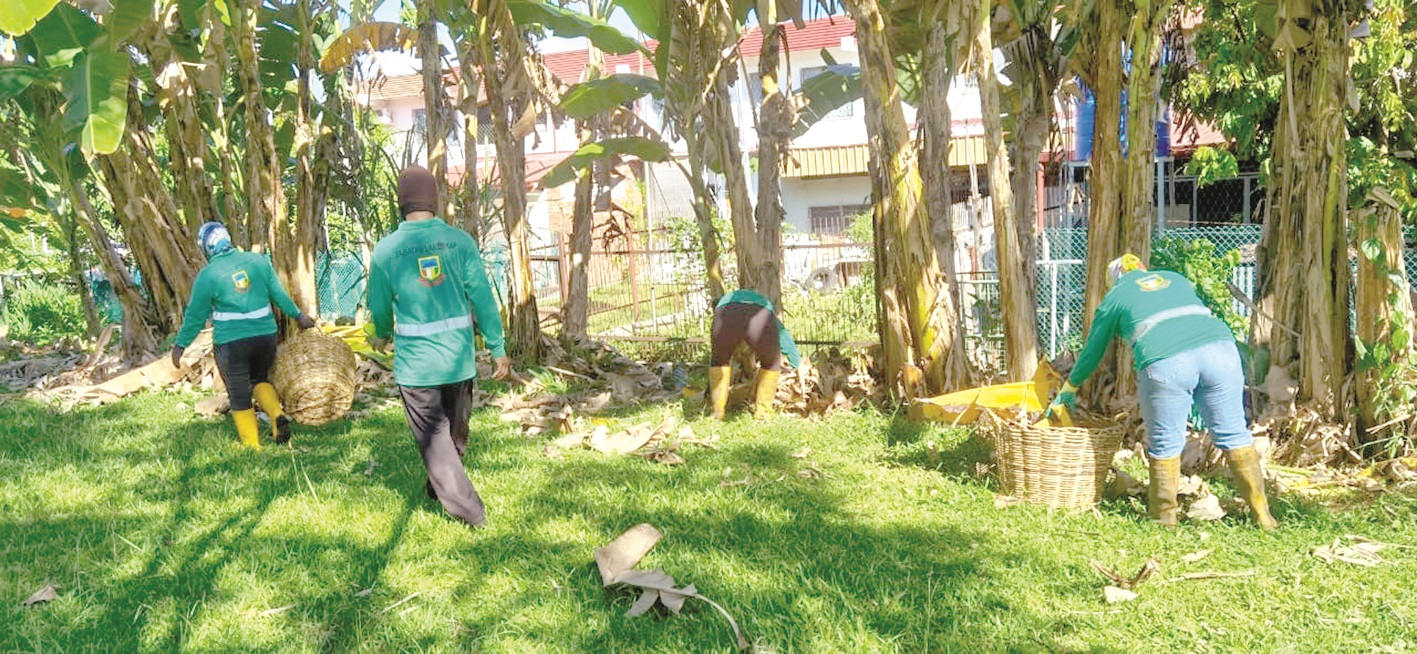 City Hall, Penampang District Council step up greenery maintenance