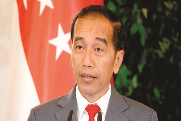 Jokowi wants concrete results from food resilience budget