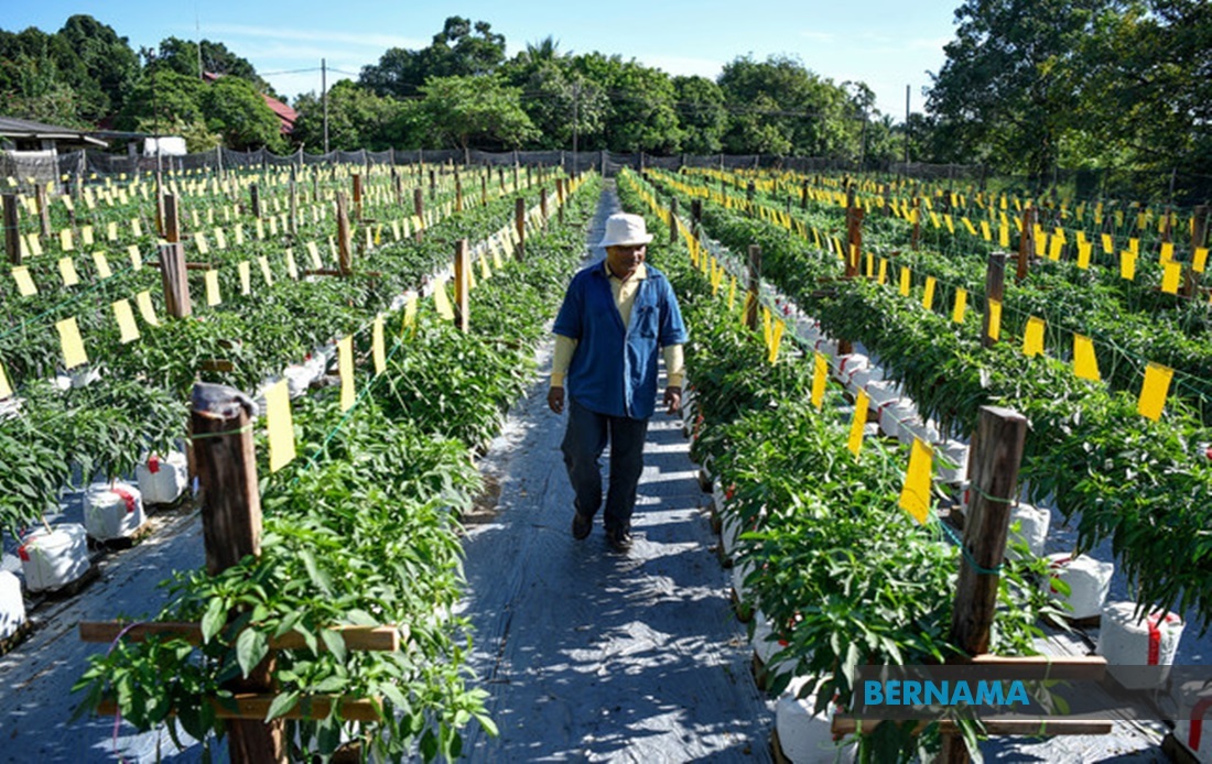 RM808m for agri, industrial and tourism