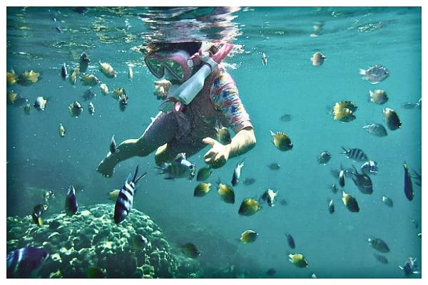 Eco-friendly retreat at Ara Dinawan in Kinarut