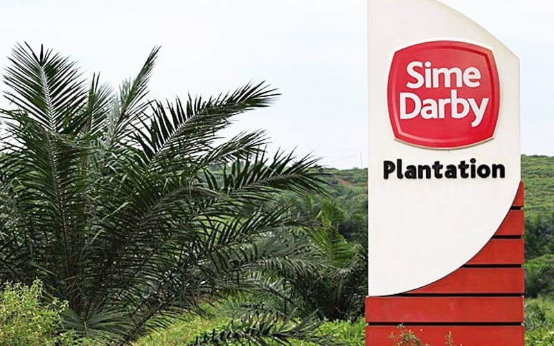 US finds no forced labour in Sime Darby’s palm oil production