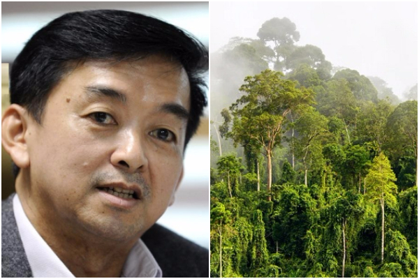Don’t take Sabah’s forests for granted 