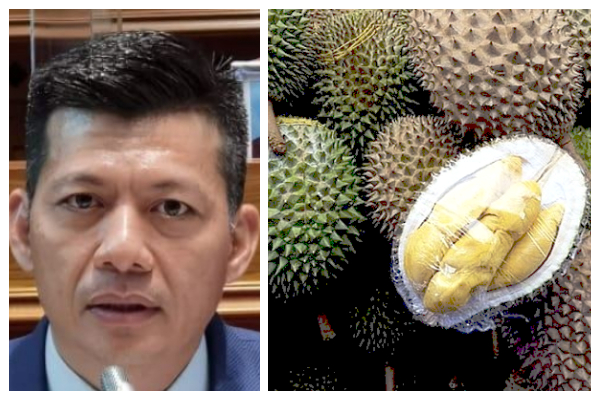 Tetapkan harga siling minimum untuk buah-buahan, kata Hiew